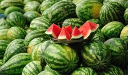 文山酒吧吃瓜事件网红,网红直播引发的网络狂欢与争议